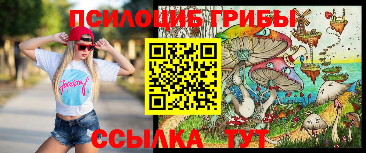 Псилоцибиновые грибы Magic Shrooms  где продают наркотики  Вход с VPN  Евпатория  Псилоцибиновые грибы MAGIC MUSHROOMS 