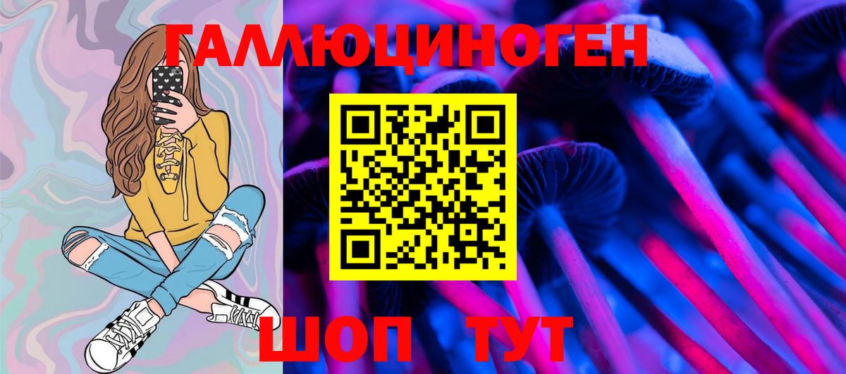 Галлюциногенные грибы Psilocybine cubensis Евпатория